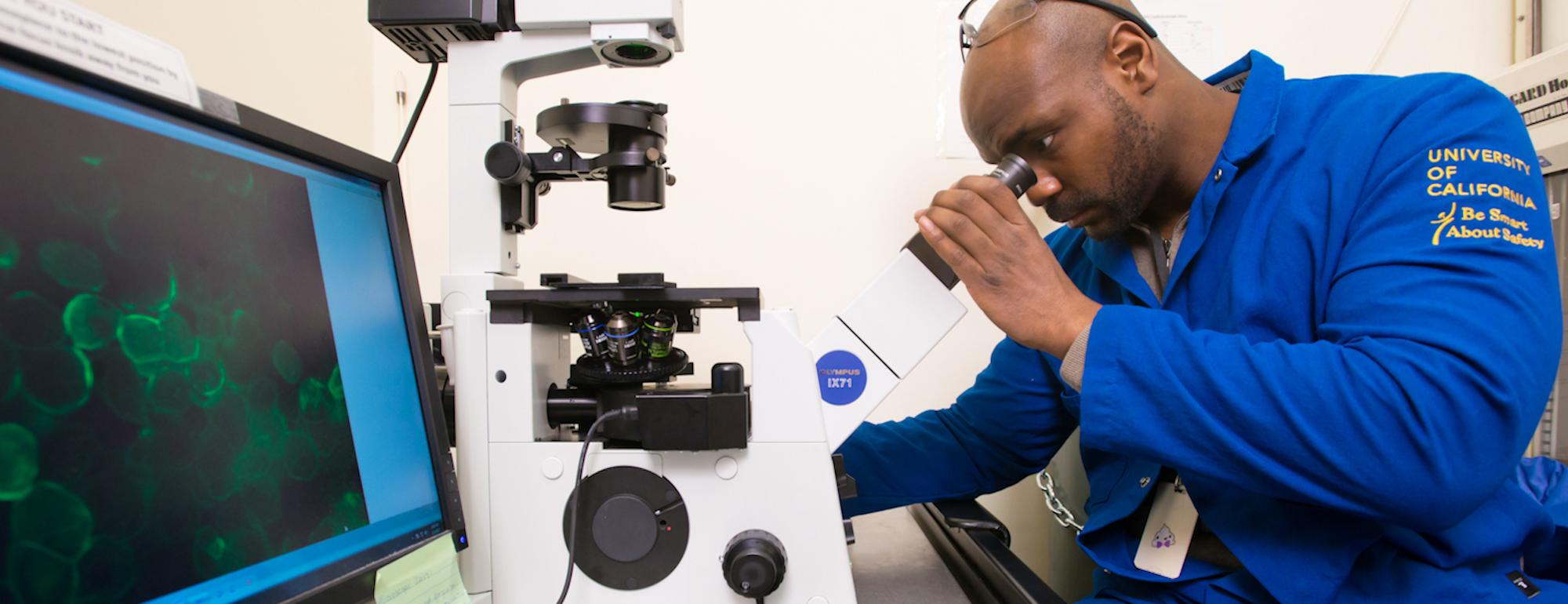 Stephen Young, from the Department of Food and Science Technology at UC Davis, working with a microscope. 